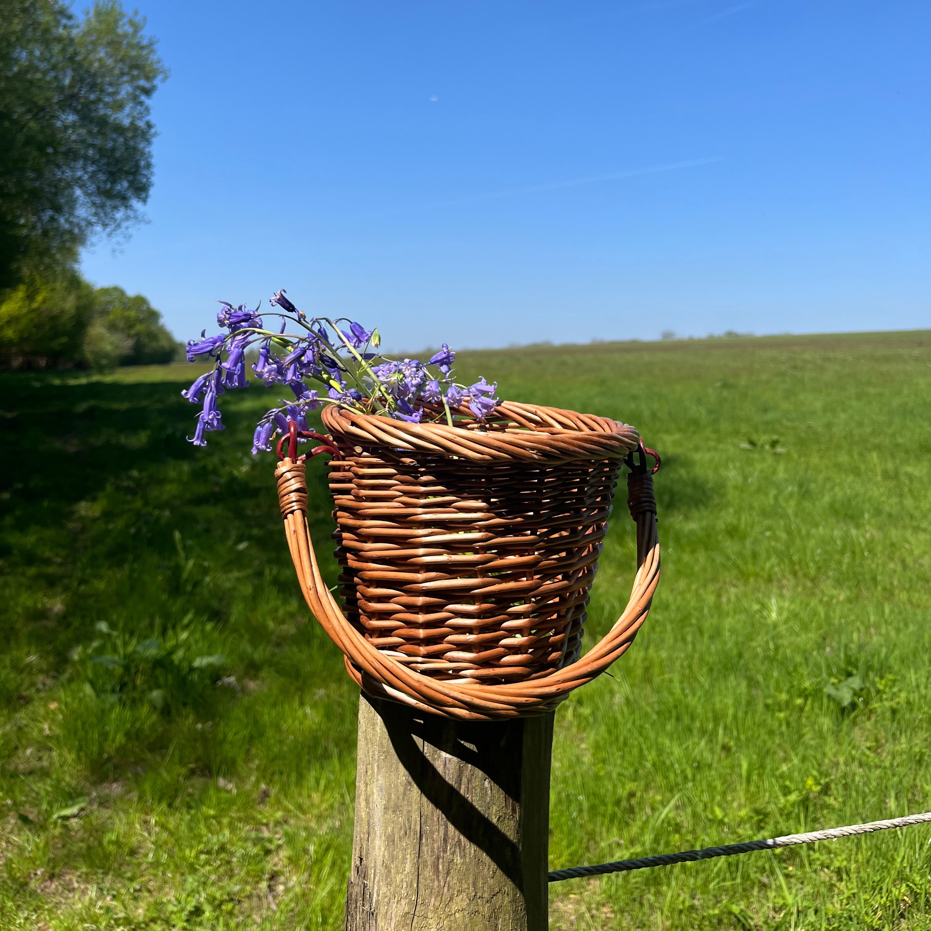 The Mini Berry Wicker Basket