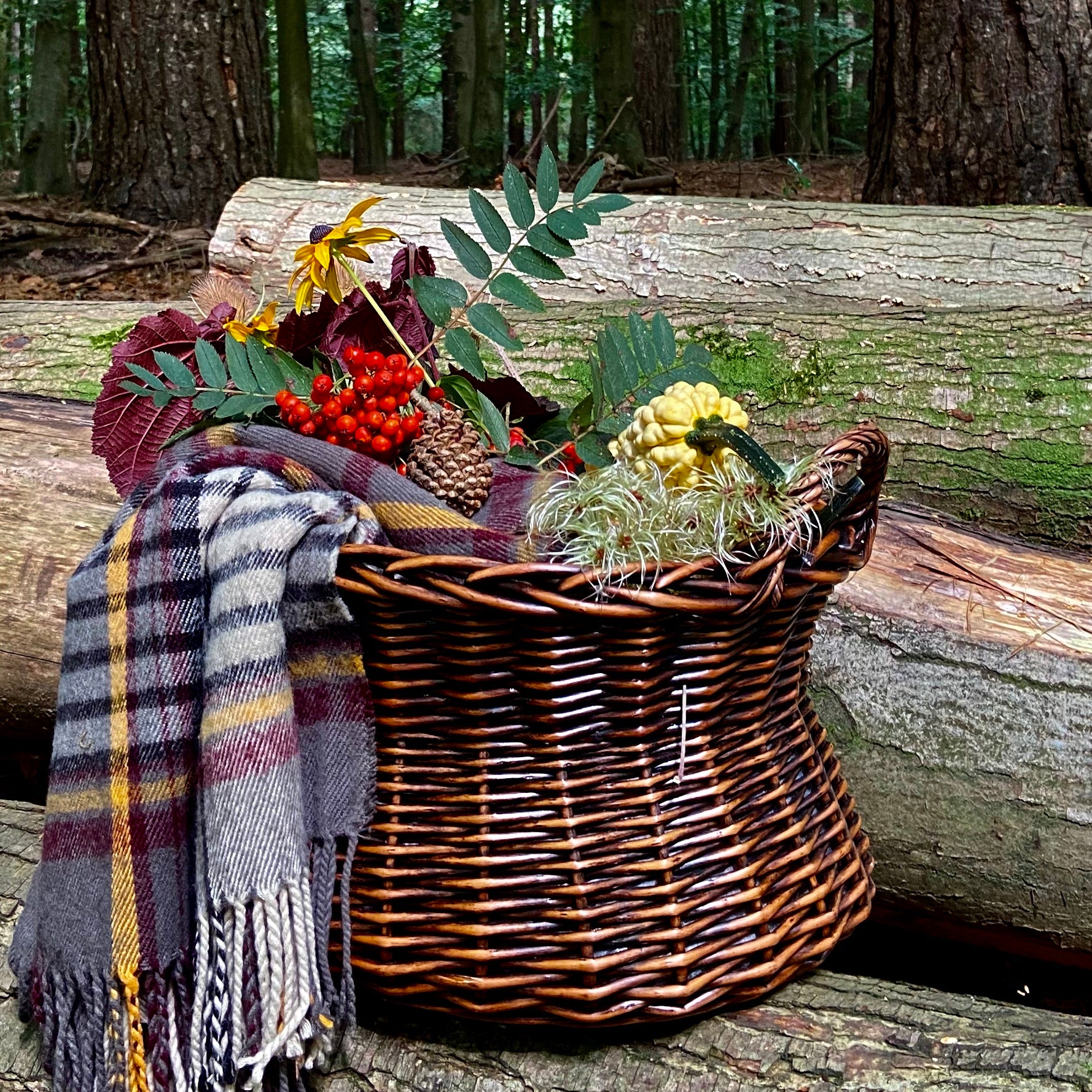 The Albany Basket