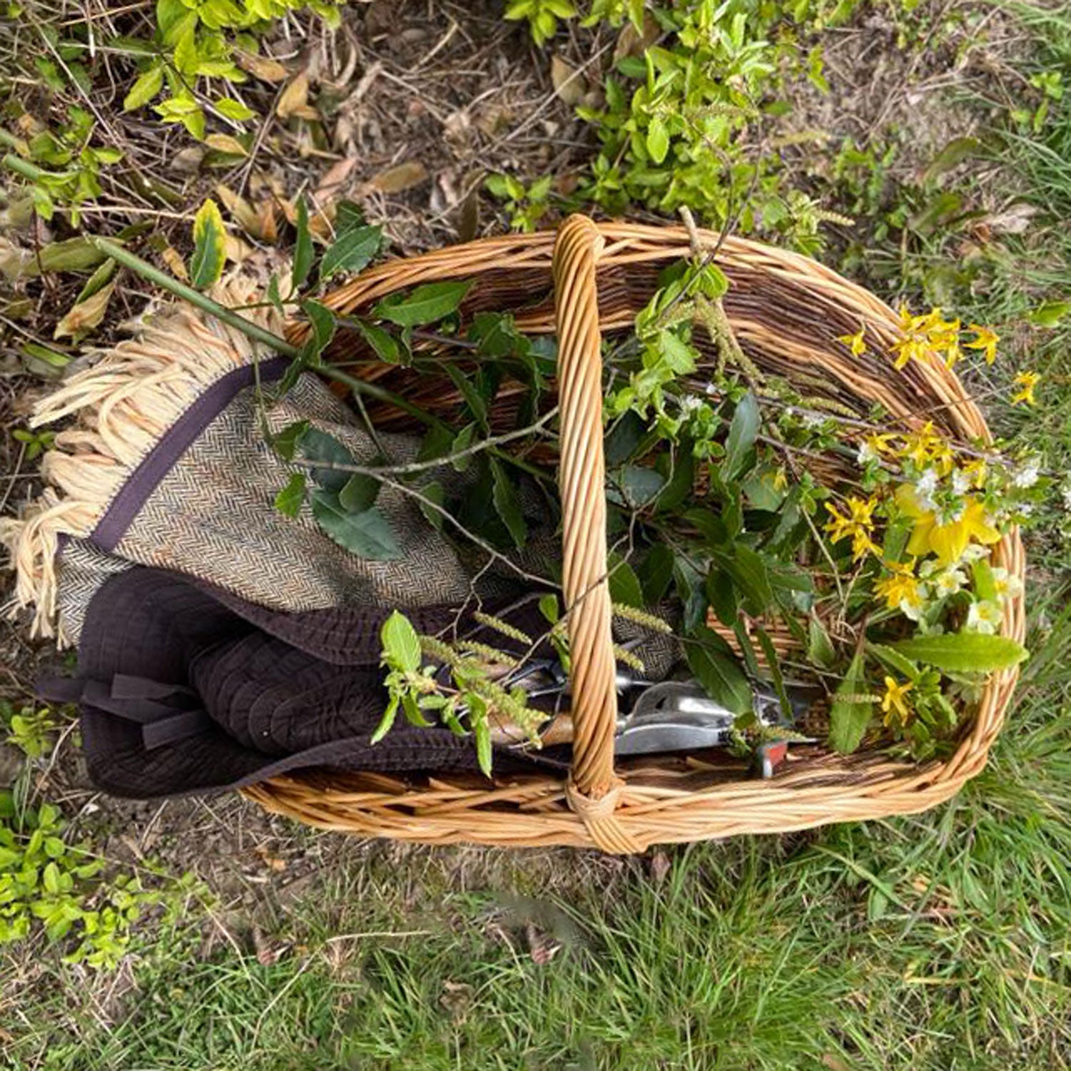 The Forager's Basket