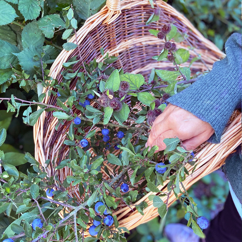 The Forager's Basket