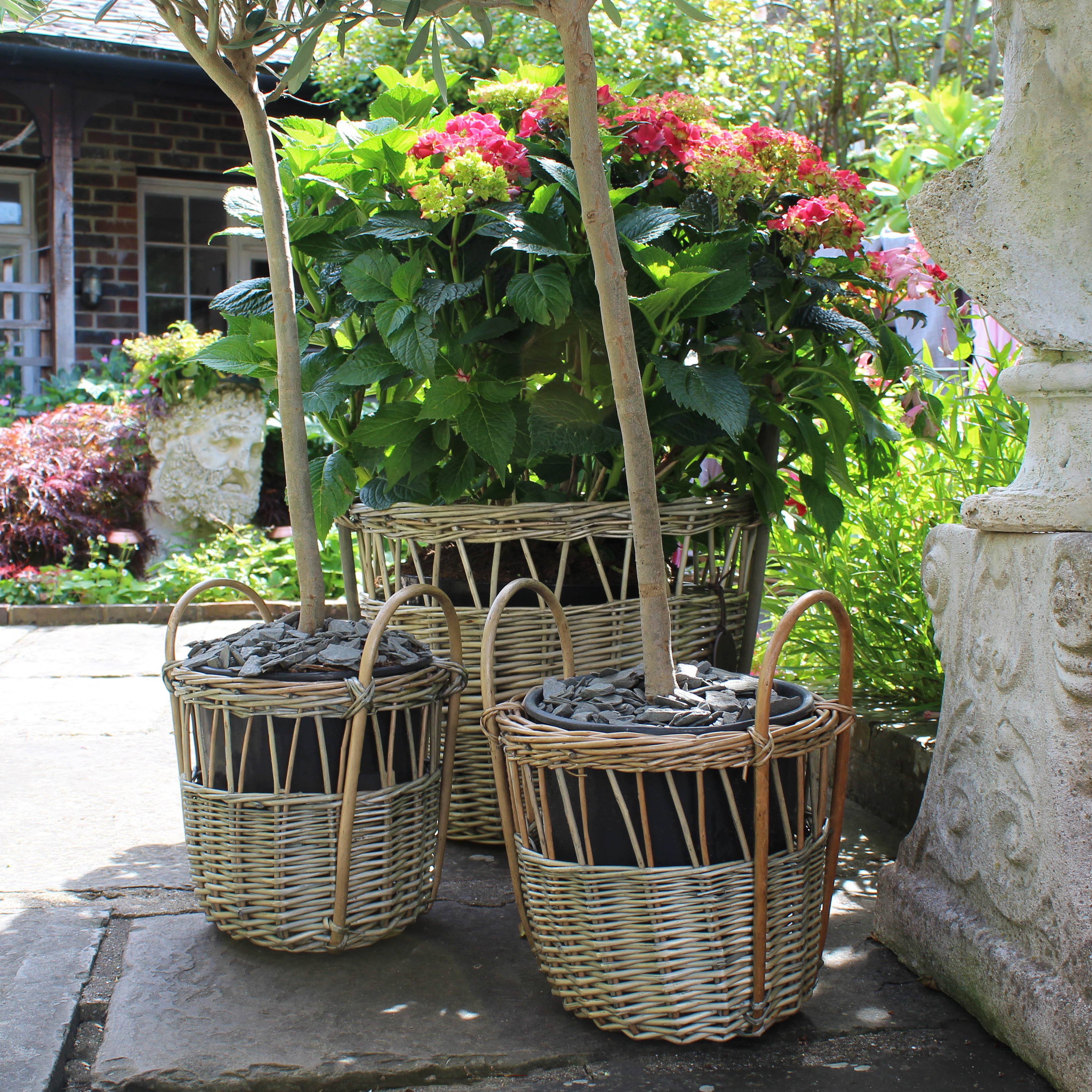 The Lloyd Basket